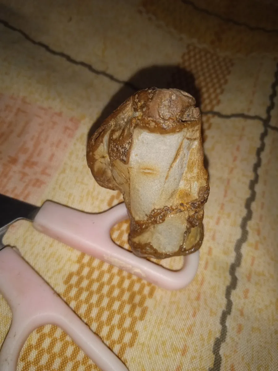 سنگ ونگین